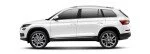 Kodiaq II
