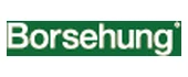 Borsehung