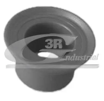 Втулка КПП Renault Clio I/II, Kangoo, Megane, Logan 04- 3RG 24607