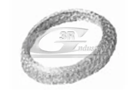 Кольцо коллектора 3RG 71605