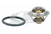 Термостат (82 ° С) Nissan Juke/Tiida/Qashqai/X-Trail/Renault Fluence/Koleos/Laguna III/Megane III 1.6/1.8/2.0 2003 3RG (81619) зображення 1