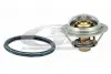 Термостат (82 ° С) Nissan Juke/Tiida/Qashqai/X-Trail/Renault Fluence/Koleos/Laguna III/Megane III 1.6/1.8/2.0 2003 3RG (81619) зображення 2