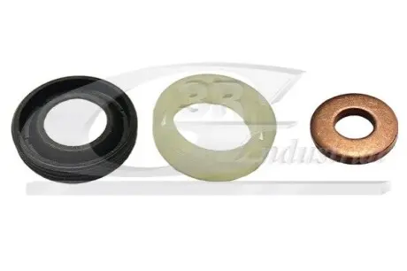 Фото К-кт шайба + сальник (2шт) форсунки Citroen Berlingo 1.6HDI 3RG (83247) зображення 1