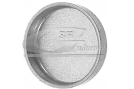 Заглушка ГБЦ 12mm 3RG 84003 Купить в Украине