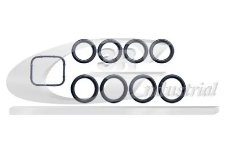 К-кт прокладок IN колектора Ford Focus C-max - 1.6 TDCi 05-,Focus II 1.6 TDCi 04- 3RG 86250 Купити в Україні