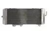 Автозапчасть 4RIDE (RAD025L) изображение 2
