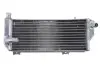 Автозапчасть 4RIDE (RAD163L) изображение 1