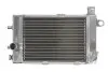 Автозапчасть 4RIDE (RAD501) изображение 1