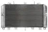 Автозапчасть 4RIDE (RAD590) изображение 2