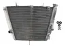 Автозапчасть 4RIDE (RAD605) изображение 1