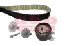 Фото Комплект ГРМ Renault Clio/Kangoo/Megane/Dacia Dokker/Duster /Logan1.5dCi 01- (27x123z) A.B.A (YK200123) зображення 1