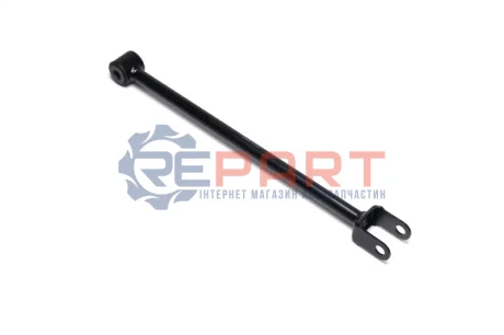 Важіль підвіски (задній/ззаду) Renault Duster 4x4 10- (поперековий) A.B.S. 211812 Купити в Україні