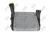 Фото Iнтеркулер VW Touareg 2.5/5.0TDI 02-10 ABAKUS (0030180010) зображення 3