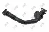 Фото Патрубок вентиляції картера BMW 3 (E90-E93)/5 (E60) 3.0 05-16 N54/N55 ABAKUS (004028107) зображення 2