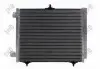 Радiатор кондицiонера з осушувачем Citroen C3/Peugeot 207/208 1.0-1.6/1.6HDi 02- 0090160011