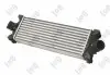 Інтеркулер Ford Transit/Tourneo 2.2D 11 ABAKUS (0170180015) зображення 3