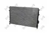 Радiатор охолодження 0420170026