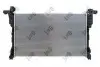Радiатор охолодження 0420170078