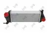 Iнтеркулер MB Citan/Renault Kangoo 1.5 dCi 08- 0420180011