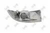 Фото Повторювач повороту на дзеркало Renault Megane/Scenic 08- (L) ABAKUS (04223861) зображення 2