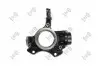 Фото Цапфа (передня) Skoda Fabia 99-/VW Polo 01- (R) ABAKUS (13103022) зображення 1