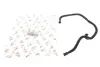 Фото Патрубок вентиляції картера Skoda Octavia/Superb/VW Golf/Passat/Tiguan 04 ADLER (03C103493AP) зображення 4