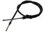 Фото Трос стояночного гальма задн Лів (1355мм/1355мм) AUDI CABRIOLET B3, COUPE B2, COUPE B3 FIAT BALILLA 508 1.0-2.8 08.86-03.34 ADRIAUTO (030219) зображення 1