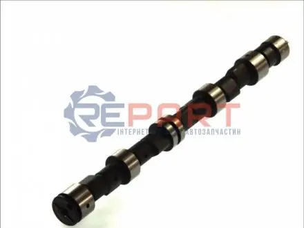 Розподільчий вал (Випускна сторона) DWOO 1.5I, CIELO, CIELO LOAD RUNNER, NEXIA OPEL ASCONA C, ASTRA F, ASTRA J, CORSA A, CORSA A TR, KADETT D, KADETT E, KADETT E COMBO 1.3-1.6 08.79 AE CAM359 Купити в Україні