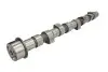 Розподільчий вал IVECO DAILY I, DAILY II, DAILY III, POWER DAILY CITROEN JUMPER I, JUMPER II FIAT CROMA, DUCATO LANCIA THEMA OPEL ARENA, MOVANO A PEUGEOT BOXER 2.4D/2.5D/2.8D 07.80 AE (CAM681) зображення 2