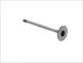 Фото Впускний клапан (31,1x6x103,1) OPEL ASTRA F, ASTRA F CLASSIC, ASTRA G, ASTRA G CLASSIC, ASTRA H, CORSA B, CORSA C, MERIVA A, TIGRA, VECTRA B, VECTRA C, VECTRA C GTS 1.4/1.4LPG/1.6 03.93-10.10 AE (V91995) зображення 2