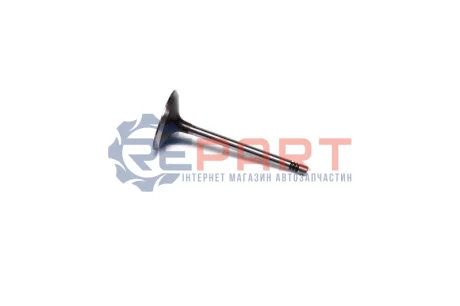 Клапан (впуск) VW Caddy III/Golf/Passat 1.6 04-15 (39.5x6x93.9) (азотовані) AE V94424