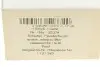 Фото Кнопка стеклоподъемника AIC (52374) изображение 6