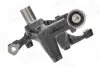 Фото Кулак поворотный AIC (56113) изображение 4