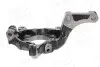 Фото Цапфа/Кулак поворотнiй Nissan X-TRAIL II 7-18,Renault KOLEOS I 08 AIC (56458) зображення 4