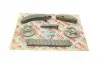 Фото Цепь ГРМ к-т внутри IWIS AIC (59112SET) изображение 2