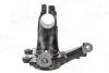 Фото Цапфа/Кулак поворотнiй Ford FOCUS II 04-13 AIC (59436) зображення 3