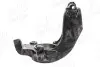Фото Цапфа/Кулак поворотнiй Ford FOCUS II 04-13 AIC (59436) зображення 5