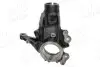 Фото Цапфа/Кулак поворотнiй Ford KUGA II 12 AIC (59441) зображення 1