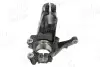 Фото Цапфа/Кулак поворотнiй Ford KUGA II 12 AIC (59441) зображення 2