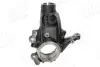 Фото Цапфа/Кулак поворотнiй Ford KUGA II 12 AIC (59442) зображення 1