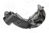 Фото Цапфа/Кулак поворотнiй Ford KUGA II 12 AIC (59442) зображення 3