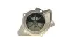 Фото Помпа води Citroen C4-C8/Jumpy 2.0-2.2HDi/Fiat Scudo 2.0D/Ford Focus 2.0TDCI 01- (19z) AIRTEX (1690) зображення 3