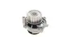 Фото Помпа води VW Caddy III 1.6/BiFuel 04-15 (23z), BGU, BSE, BSF, CHGA AIRTEX (1703) зображення 5