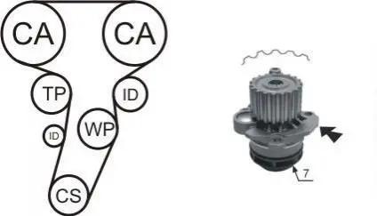 Фото 1 — Комплект ГРМ + помпа VW Passat/Golf 2.0TDi 03- (30x141z) AIRTEX (WPK177403) Фото Комплект ГРМ + помпа VW Passat/Golf 2.0TDi 03- (30x141z) AIRTEX (WPK177403) зображення 1