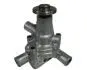 Насос охолоджуючої рідини YANMAR 1401, 1510, 1602, 1610, 1702, 1720, 1810, 226, 2001, 2002, 2010, 2020, 2202, 2220, 2301, 2310, 2402, 2420 AISIN (WPW011) зображення 1