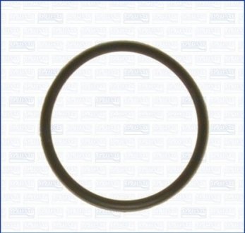 FORD Уплотнительное кольцо термостата FIESTA V 1.25 16V 03-08, FOCUS C-MAX (DM2) 1.6 03-07, MAZDA, VOLVO AJUSA 01029000 (фото 1)