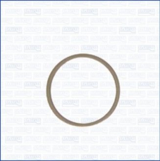 Уплотняющее кольцо, резьбовая пр. AJUSA 22004800 (фото 1)