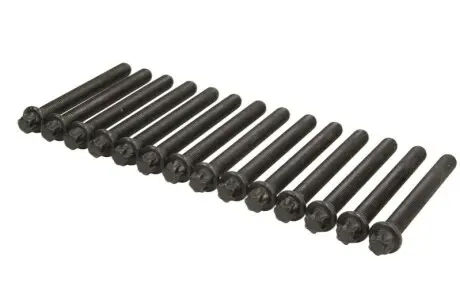 Комплект болтів ГБЦ BMW 3 (E46), Z3 (E36), Z4 (E85), Z4 (E86) 3.2 07.00-08.08 AJUSA 81029600