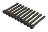 Фото Комплект болтів ГБЦ HYUNDAI ACCENT, ACCENT I, ACCENT II, ACCENT III, COUPE I, COUPE II, ELANTRA III, GETZ, MATRIX KIA CERATO I, RIO II 1.4-2.0 10.95-12.11 AJUSA (81029900) зображення 1