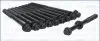 Фото Комплект болтів ГБЦ CHEVROLET MW FIAT SEDICI SUBARU JUSTY III SUZUKI BALENO, CELERIO, GRAND VITARA II, IGNIS I, IGNIS II, JIMNY, LIANA, S-CROSS, SWIFT III, SWIFT IV, SWIFT V, SX4 1.0-1.6 09.00 AJUSA (81032000) зображення 2